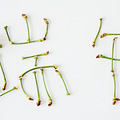 关于樱桃のN种幻想_0