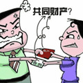 2017杭州房产小知识：婚前购置房产要点_2
