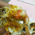 阳澄湖大闸蟹_3