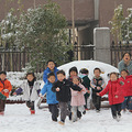 让灵魂之花在质朴中绽放 ——杭州市大成实验幼儿园党员倪婕老师_3