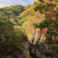 【秋行9月】+惊艳红海滩寻秋关门山_1