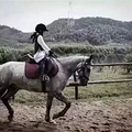 【征兵启事】莫干山1932马背上的特种兵亲子营_5