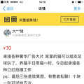 萧山90后男生闲鱼提供租猫摄影服务，10块钱拍出奢华大片_0