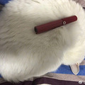 萧山90后男生闲鱼提供租猫摄影服务，10块钱拍出奢华大片_5