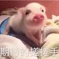 杭州小伙晒年终奖金和福利 网友评论扎心了！奇葩？惊喜？意外？_1