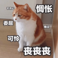 杭州小伙晒年终奖金和福利 网友评论扎心了！奇葩？惊喜？意外？_3