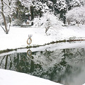 2018年1月27日周六小果俱乐部灵峰探梅赏雪景大片_2
