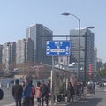 三九严寒天，请救救这些可怜的狗狗吧_4