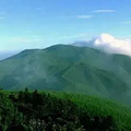 莫干山1932第三届亲子植树节【雨天备案】_4