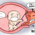 医院胎盘怎么处理  胎盘有什么用处_2