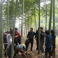 团体挖笋采草莓 这个春天给员工增加福利吧_1