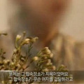 震惊！韩国著名导演被指涉强奸，多名女演员曝受害细节_1