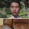 传说中的狗模人样？这大概是长得最像人的狗子了！网友：希望今晚_2