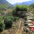 徒步吴越古道，赏浙西天池风光，看樱花满山_5