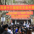 樱花文会|我拾韶华三载梦，红墙遗我一枝春_1
