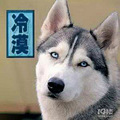 雪地三傻合影   雪地三傻是哪三傻_0