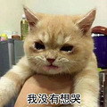 男护工3.5小时掌掴老人57次！儿子看哭：我花钱让爹挨打_2