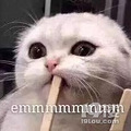 敢用手挤痘？细菌感染，了解一下？_塑青春