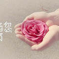母亲节，送给全球妈妈最实在的康乃磬_0