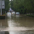 余杭暴雨 良渚开船模式开启！勇士们请不要再开车了！_3