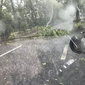 余杭暴雨 良渚开船模式开启！勇士们请不要再开车了！_5