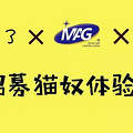 我的猫因为过量舔毛，去世了..._0