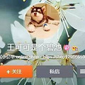 盘点十大爱狗爱猫的明星，baby的猫、周杰伦的狗都比不上它！_3