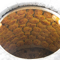 金华酥饼情传万家，匠心传承赋予新意_2