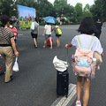 【猪言珠语】2018.7.20 我在“英特”游园_0