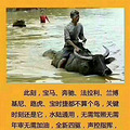10号台风轨迹