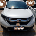 ������ﳤ�����˳�����CRV�����ܿ�ϱ������-��ת��_0