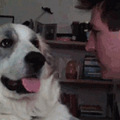 养狗狗之后, 你的生活发生了怎样的变化？_3