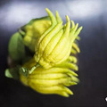 节气·处暑 | 秋燥始显露，茶要怎么喝？_0