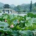 杭州曲院风荷游玩攻略 地址交通+门票价格+开放时间_0