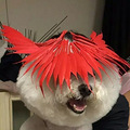 人不如狗！揭秘中国爱犬的奢靡私生活_0