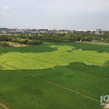 #周末去哪儿#富阳东洲岛采摘、摄影、品江鲜，休闲一日游_0