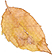 杭州的秋风一吹，是时候该下手了！这么多美到窒息的地方给你挑，_0
