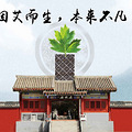 艾灸不能净化空气，却能清除肺部浊气_0