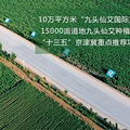 艾灸不能净化空气，却能清除肺部浊气_1
