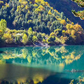 这个周末，我约你吧！_1