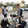 天一冷学校里野猫越来越多，发情期都是猫叫声，西湖区这所学校师_1