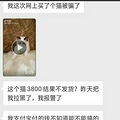 大家买狗猫请到门店购买！不要贪图便宜损失来之不易的钱财