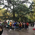 当老师越来越难，浙江8万多人大考，被一道神题烧脑……_4