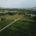 杭州企业团建-丛林穿越_3