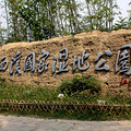 杭州西溪湿地开放时间 游玩时间是什么时候？