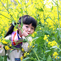 早桂吐蕊 养颜益寿