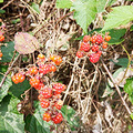 initpintu_副本.jpg