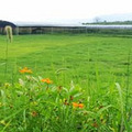 明康汇生态体验农场是明康汇生态农业集团和_1