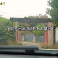4℃的杭州小镇，藏着70只流浪猫的世外桃源。_5