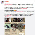 4℃的杭州小镇，藏着70只流浪猫的世外桃源。_4